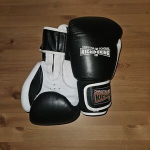 Kickboxing Gloves